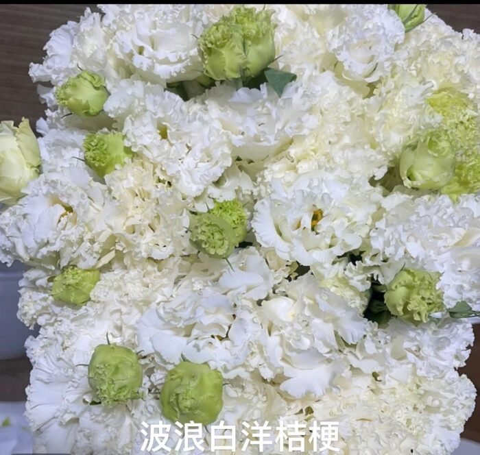 White Ruffled Eustoma - Image 1